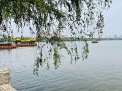 -济南大明湖景区