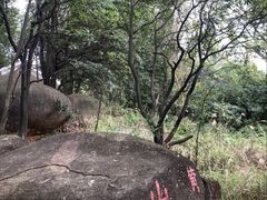 -火炉山森林公园