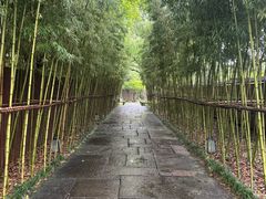 -新荣记(西溪湿地店)