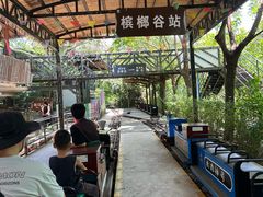-海南槟榔谷黎苗文化旅游区