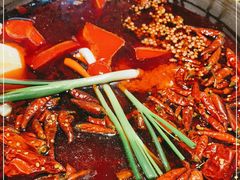 -四小区火锅·巷子里的重庆火锅(花照壁店)