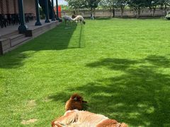 -太阳岛度假酒店