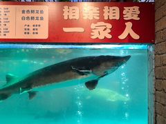 -年辉渔村·非遗传承餐厅(新丰江店)