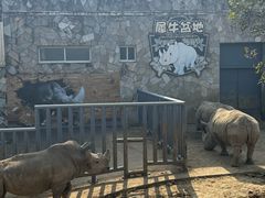 -无锡动物园·太湖欢乐园