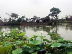 -嬉乐湾休闲旅游区