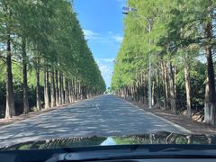 -上海长兴岛郊野公园