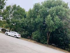 -胜华驾校·小猫学车(银都店)
