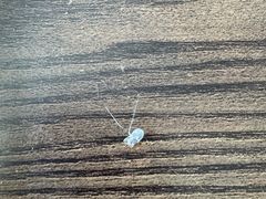 -德川家日本料理(顺义华联店)