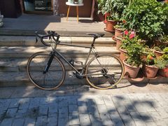 -道路口单车爱瓦士dahon大行