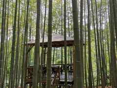 -宝岩生态观光园
