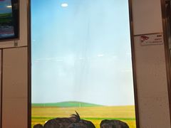 -左庭右院鲜牛肉火锅(浦江欢乐颂店)