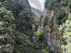 -苍山感通索道