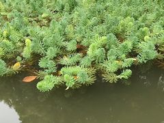 -常州古运河南大街文化旅游区-人民公园