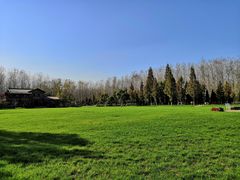 -合肥滨湖国家森林公园