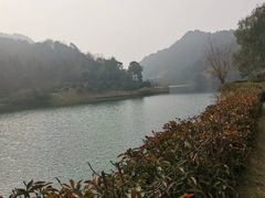 -桃花岭景区