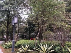 -顺峰山公园