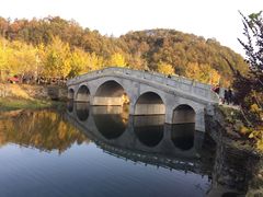 -千年银杏谷文化旅游区