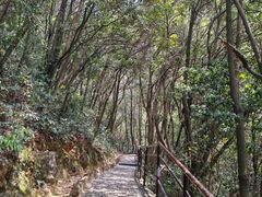 -富春桃源风景区