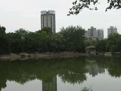 -渭滨公园