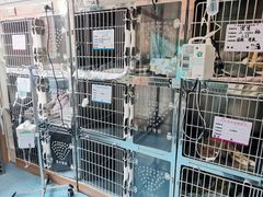 -瑞派宠物医院·24h·骨外科·皮肤科·全科宠物医疗转诊中心(沈阳浑南院)