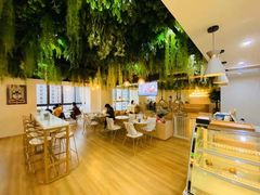 -Husky Go! 哈士奇体验馆·宠物咖啡厅狗咖