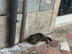 -布德瓦老城