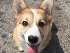 -刘一锅筋头巴脑(大悦城C店)
