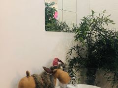 -威克特披萨汉堡