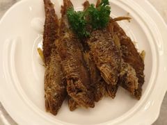 -喜来登由由大酒店九州膳坊中餐厅