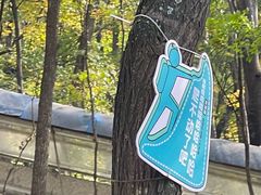 -帽儿山风景区