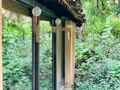-杨家堂村