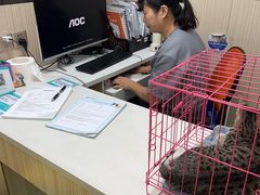 -瑞派宠物医院(搏威敦和院)