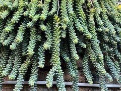 -山菌美食苑(振兴路店)