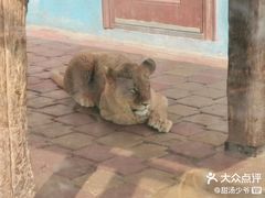 -大连森林动物园