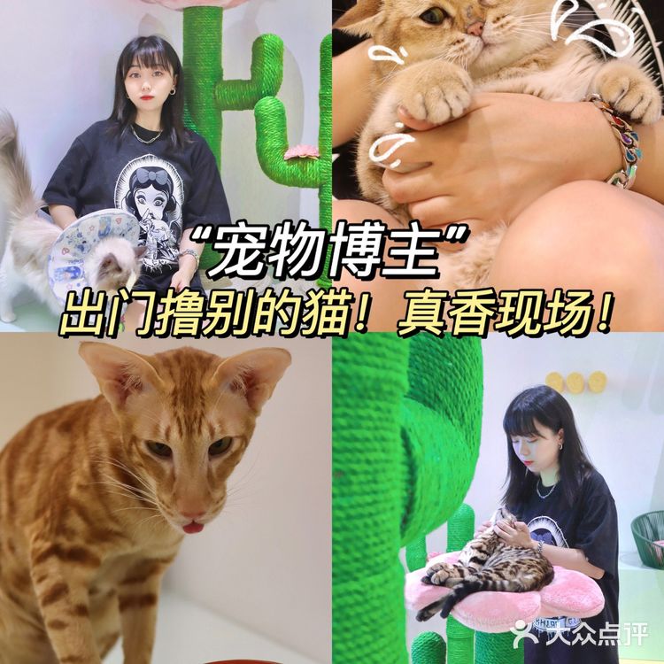 2年养宠经验宠物博主‼️都难逃过未卡猫空间