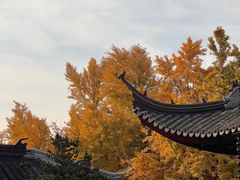-西园戒幢律寺