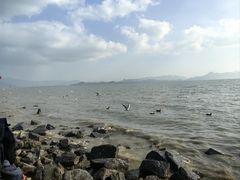 -深圳湾公园(南山区)