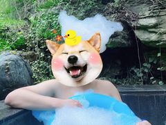 -西安国际创新人才交流中心•药浴温泉