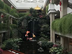 -白天鹅宾馆-宏图府餐厅
