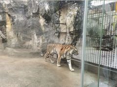 -南昌动物园