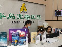 -半岛宠物医院24小时(科华中路店)