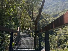 -海南热带雨林国家公园吊罗山景区