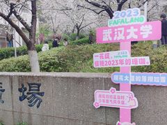 -武汉大学-樱园