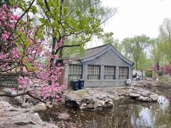 -三忘湖 SWANSEEN(柳荫公园店)