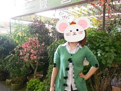 -三圣花乡旅游区