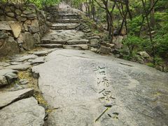 -北京鹫峰国家森林公园