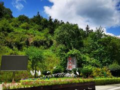 -广州白江湖森林公园