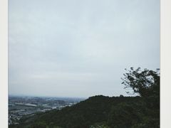 -杭州半山国家森林公园