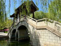 -团结湖公园