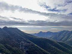 -南山竹海·珍味堂
